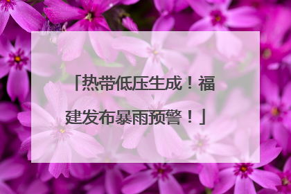 热带低压生成！福建发布暴雨预警！