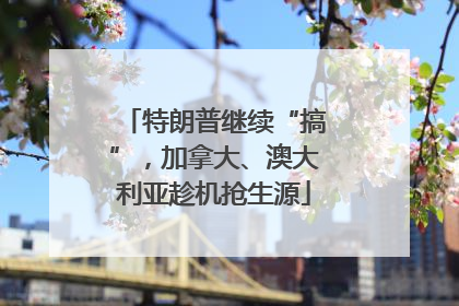 特朗普继续“搞”，加拿大、澳大利亚趁机抢生源