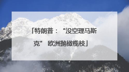 特朗普：“没空理马斯克” 欧洲抛橄榄枝