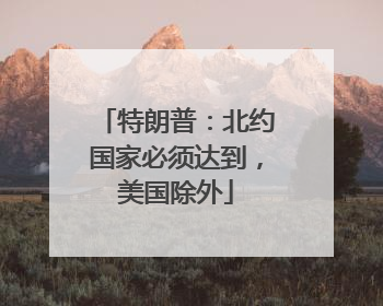 特朗普：北约国家必须达到，美国除外