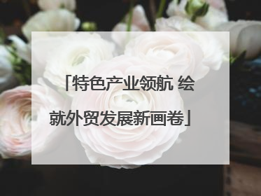 特色产业领航 绘就外贸发展新画卷