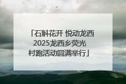 石斛花开 悦动龙西 2025龙西乡荧光村跑活动圆满举行