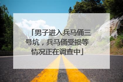男子进入兵马俑三号坑，兵马俑受损等情况正在调查中