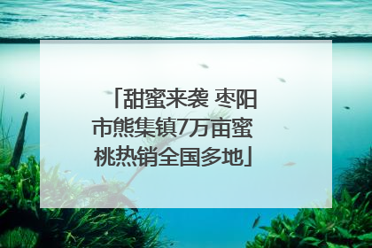 甜蜜来袭 枣阳市熊集镇7万亩蜜桃热销全国多地