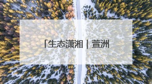 生态潇湘｜萱洲国家湿地公园：新生鹭鸟振翅欲飞