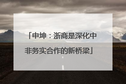 申坤：浙商是深化中非务实合作的新桥梁