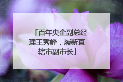 百年央企副总经理王秀峰，履新直辖市副市长