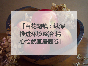 百花湖镇：纵深推进环境整治 精心绘就宜居画卷
