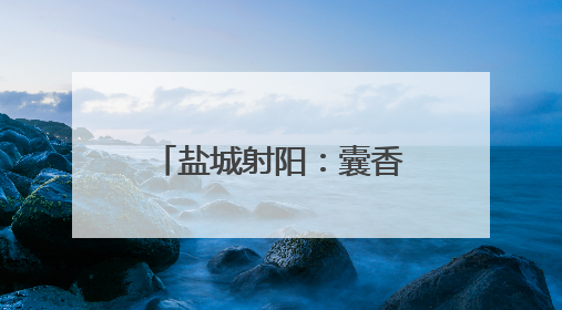 盐城射阳：囊香粽香飘溢校园 传统文化深植心田