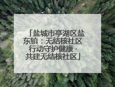 盐城市亭湖区盐东镇：无结核社区行动守护健康 ·共建无结核社区