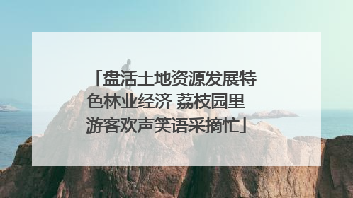 盘活土地资源发展特色林业经济 荔枝园里游客欢声笑语采摘忙