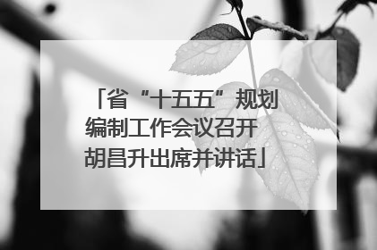 省“十五五”规划编制工作会议召开 胡昌升出席并讲话