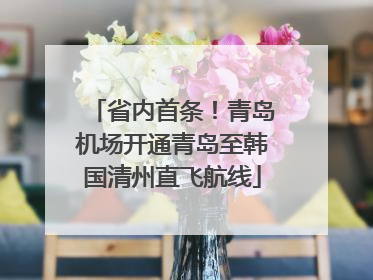 省内首条！青岛机场开通青岛至韩国清州直飞航线