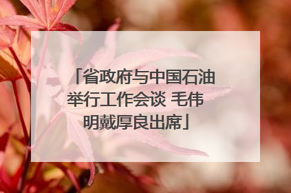 省政府与中国石油举行工作会谈 毛伟明戴厚良出席