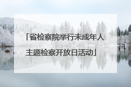 省检察院举行未成年人主题检察开放日活动