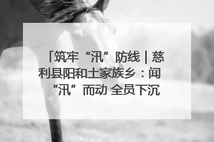 筑牢“汛”防线｜慈利县阳和土家族乡：闻“汛”而动 全员下沉筑牢防汛“安全堤”