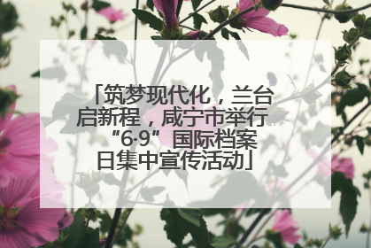 筑梦现代化，兰台启新程，咸宁市举行“6·9”国际档案日集中宣传活动