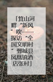箕山河畔“新风”吹——探访“全国文明村”鄄城县凤凰镇酒店张村