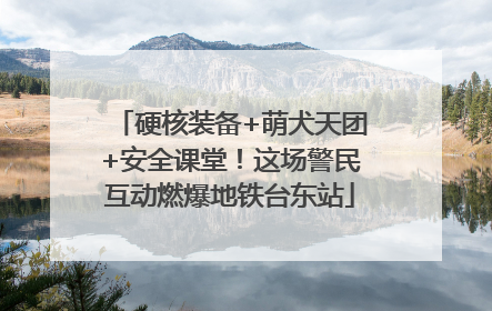 硬核装备+萌犬天团+安全课堂！这场警民互动燃爆地铁台东站