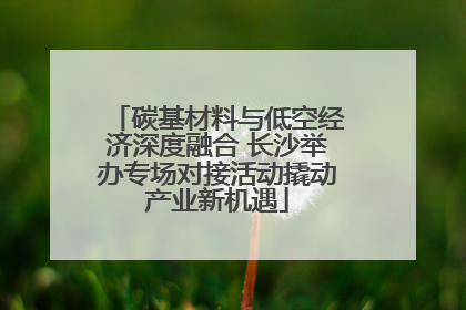 碳基材料与低空经济深度融合 长沙举办专场对接活动撬动产业新机遇