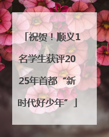 祝贺！顺义1名学生获评2025年首都“新时代好少年”