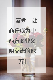 秦朔：让商丘成为中西方商业文明交流的地方
