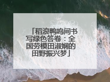 稻浪鸭鸣间书写绿色答卷：全国劳模田淑娴的田野振兴梦