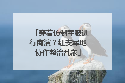 穿着仿制军服进行商演？红安军地协作整治乱象
