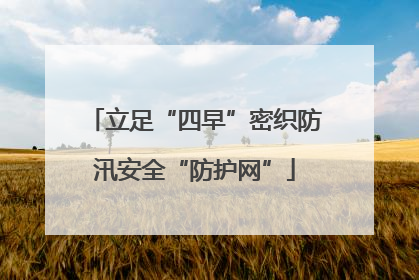 立足“四早”密织防汛安全“防护网”