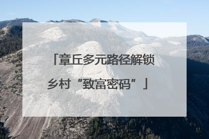 章丘多元路径解锁乡村“致富密码”