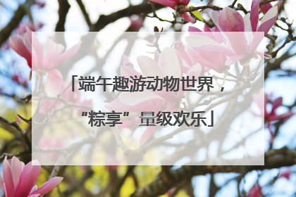 端午趣游动物世界，“粽享”量级欢乐