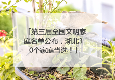 第三届全国文明家庭名单公布，湖北30个家庭当选！