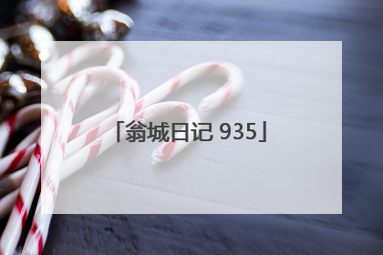 翁城日记 935