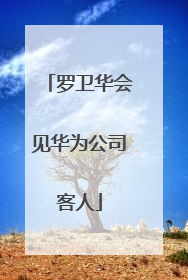 罗卫华会见华为公司客人