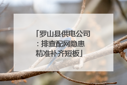 罗山县供电公司：排查配网隐患 精准补齐短板