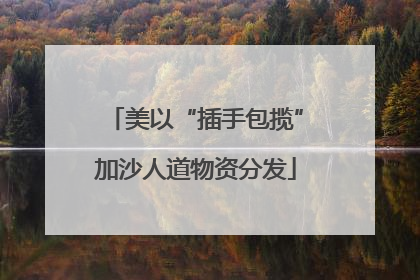 美以“插手包揽”加沙人道物资分发