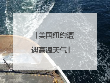 美国纽约遭遇高温天气