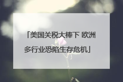 美国关税大棒下 欧洲多行业恐陷生存危机