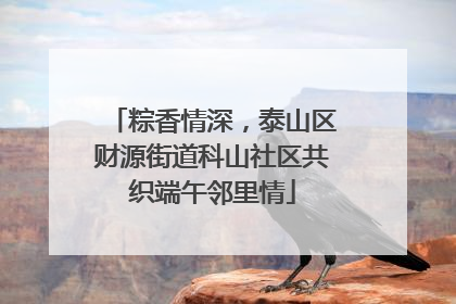 粽香情深，泰山区财源街道科山社区共织端午邻里情