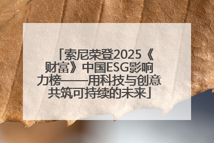 索尼荣登2025《财富》中国ESG影响力榜——用科技与创意共筑可持续的未来
