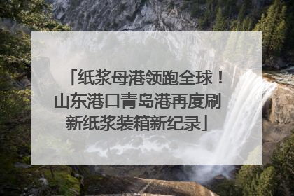 纸浆母港领跑全球！山东港口青岛港再度刷新纸浆装箱新纪录