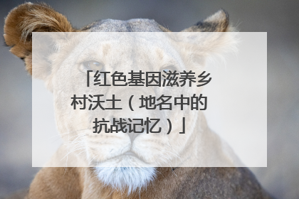 红色基因滋养乡村沃土（地名中的抗战记忆）