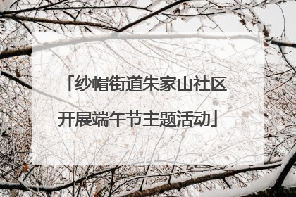 纱帽街道朱家山社区开展端午节主题活动