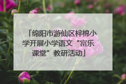 绵阳市游仙区梓棉小学开展小学语文“富乐课堂”教研活动