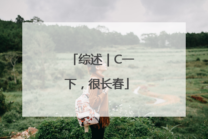 综述｜C一下，很长春