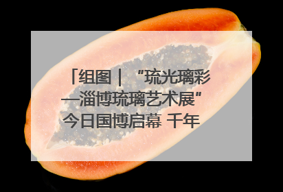 组图｜“琉光璃彩—淄博琉璃艺术展”今日国博启幕 千年窑火绽放京城