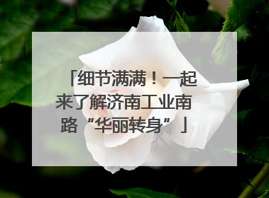 细节满满！一起来了解济南工业南路“华丽转身”