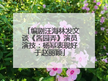 编剧汪海林发文谈《酱园弄》演员演技：杨幂表现好于赵丽颖