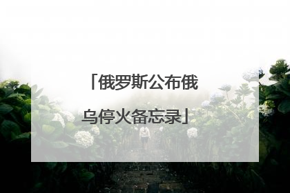 俄罗斯公布俄乌停火备忘录