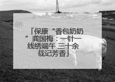 保康“香包奶奶”龚国梅：一针一线绣端午 三十余载记芳香